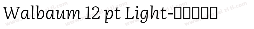 Walbaum 12 pt Light字体转换